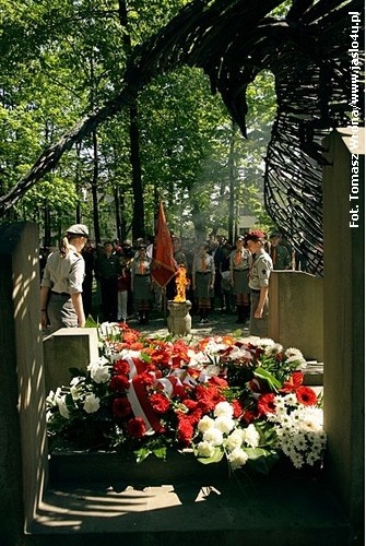 3 Maja w Jaśle 2009