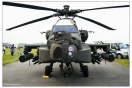 Air Show 2009