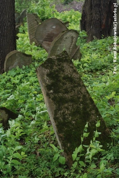 Cmentarz żydowski w Nowym Żmigrodzie