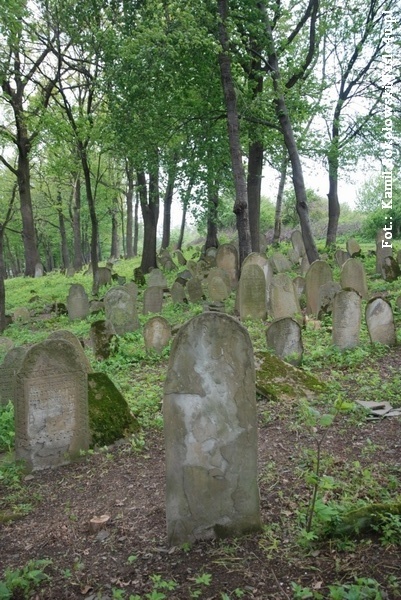 Cmentarz żydowski w Nowym Żmigrodzie