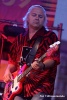 Dni Jasła 2009 - Koncert Pudelsów