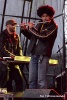 Dni Jasła 2009 - Koncert Pudelsów