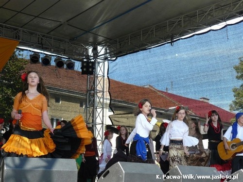 Dni Kultury Romskiej 14.06.2009