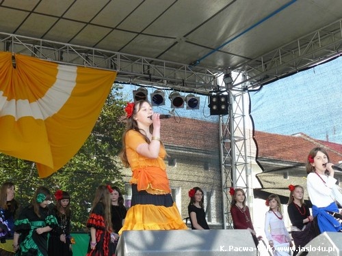 Dni Kultury Romskiej 14.06.2009