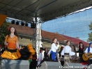 Dni Kultury Romskiej 14.06.2009
