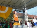 Dni Kultury Romskiej 14.06.2009