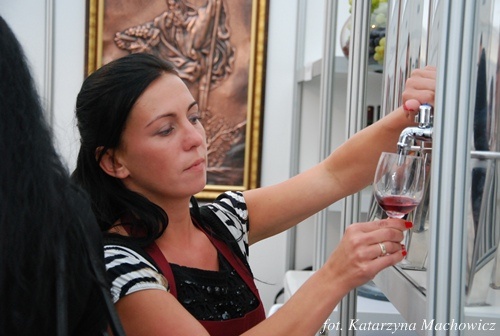 Dni Wina 2009 - Dzień II