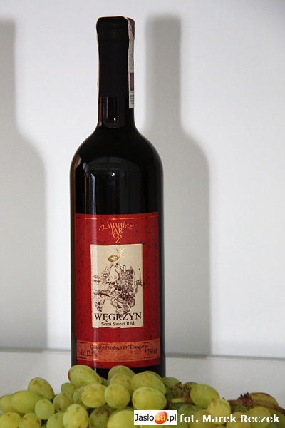 Dni Wina 2009 - Dzień II