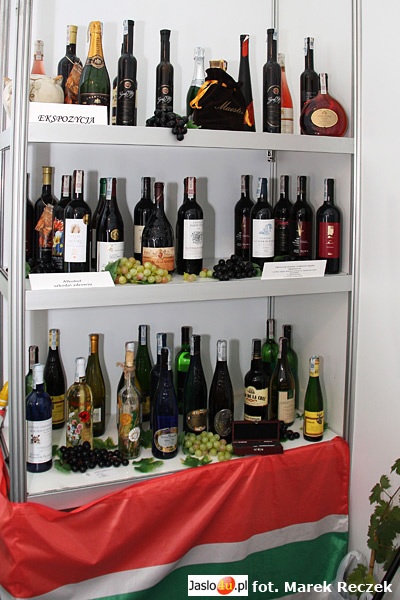 Dni Wina 2009 - Dzień II