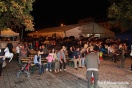 Dni Wina 2009 - Koncerty