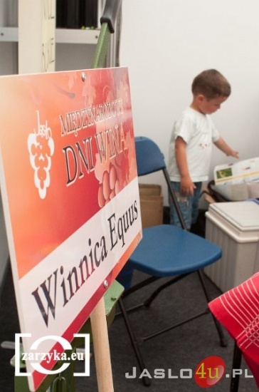 Dni Wina 2011 - Fot. Grzegorz Zarzyka