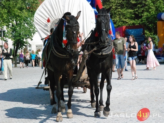 Dzień Kultury Romskiej