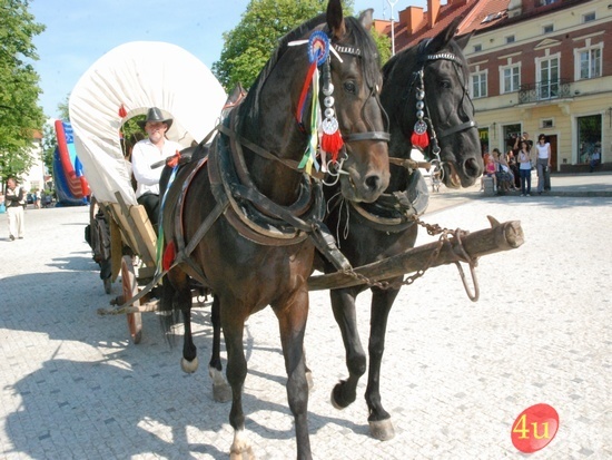 Dzień Kultury Romskiej