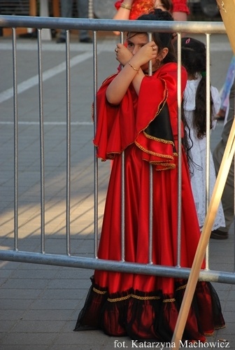 Dzień Kultury Romskiej - Traden Roma