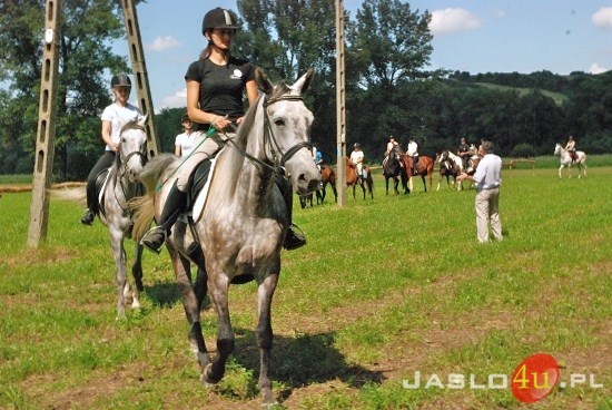 Galicyjskie Lato z Koniem fot. Ilona Czarnecka