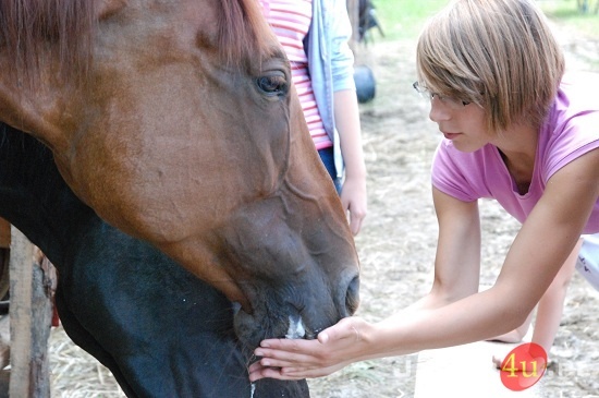 Galicyjskie Lato z Koniem fot. Ilona Czarnecka