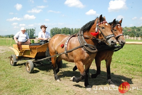 Galicyjskie Lato z Koniem fot. Ilona Czarnecka
