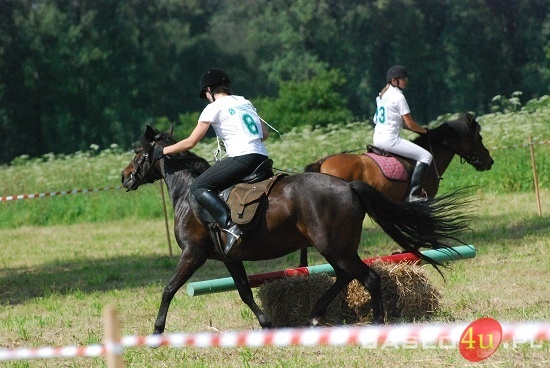 Galicyjskie Lato z Koniem fot. Ilona Czarnecka