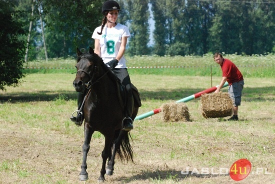 Galicyjskie Lato z Koniem fot. Ilona Czarnecka