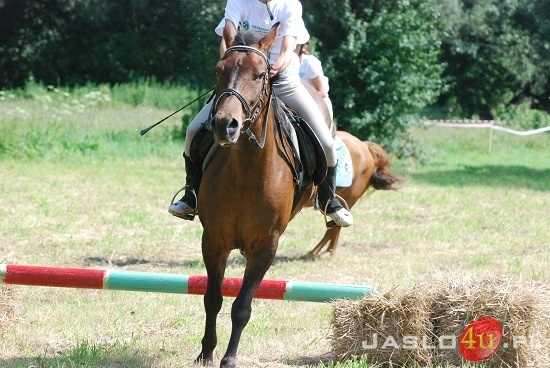 Galicyjskie Lato z Koniem fot. Ilona Czarnecka