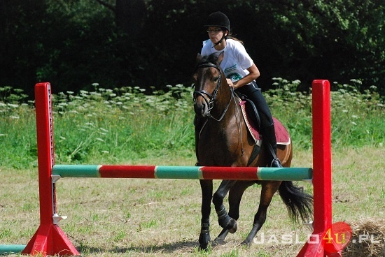 Galicyjskie Lato z Koniem fot. Ilona Czarnecka