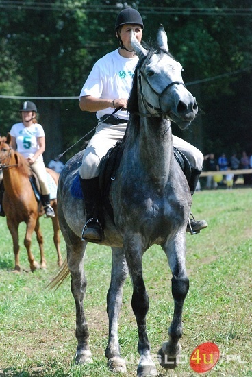 Galicyjskie Lato z Koniem fot. Ilona Czarnecka