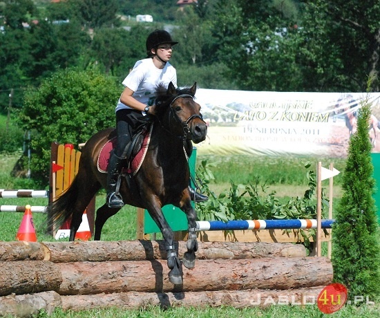 Galicyjskie Lato z Koniem fot. Ilona Czarnecka