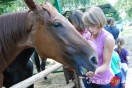 Galicyjskie Lato z Koniem fot. Ilona Czarnecka