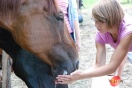 Galicyjskie Lato z Koniem fot. Ilona Czarnecka