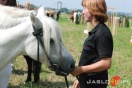Galicyjskie Lato z Koniem fot. Ilona Czarnecka