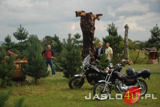 Gogołowskie Drzewoludy 2010