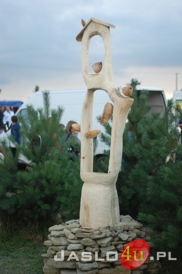 Gogołowskie Drzewoludy 2010