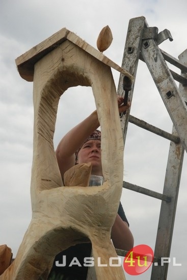 Gogołowskie Drzewoludy 2010