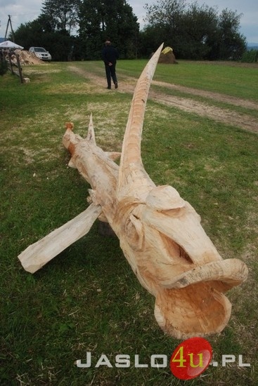 Gogołowskie Drzewoludy 2010