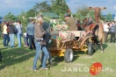 Gogołowskie Drzewoludy 2010