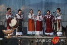 Gogołowskie Drzewoludy 2010