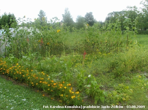 Gradobicie nad Jasłem i okolicą - 03.08.2009