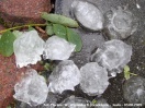 Gradobicie nad Jasłem i okolicą - 03.08.2009
