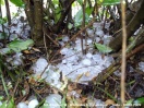 Gradobicie nad Jasłem i okolicą - 03.08.2009