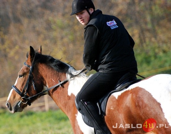 Hobby na czterech kopytach - Jasielskie Stowarzyszenie Jeździeckie