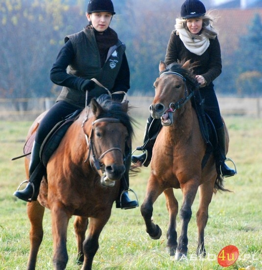 Hobby na czterech kopytach - Jasielskie Stowarzyszenie Jeździeckie