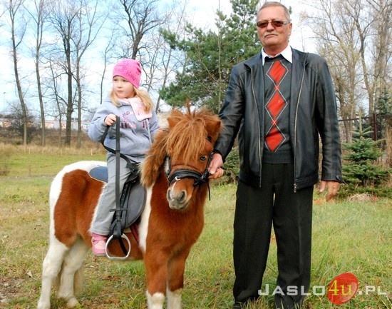 Hobby na czterech kopytach - Jasielskie Stowarzyszenie Jeździeckie