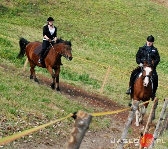Hobby na czterech kopytach - Jasielskie Stowarzyszenie Jeździeckie