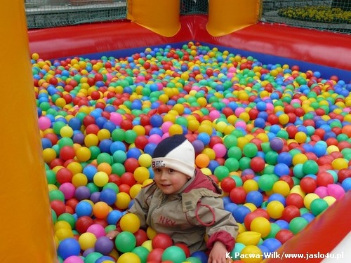 I Piknik Rodzinny