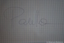I urodziny Galerii - Koncert Paulli