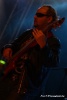 I urodziny Galerii - Koncert Paulli