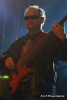 I urodziny Galerii - Koncert Paulli