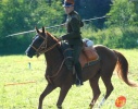 II Memoriał mjr  Henryka Dobrzańskiego fot. Ilona Czarnecka