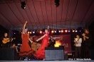 III Międzynarodowe Dni Wina - Rumbero Flamenco - Fot. Tomasz Wrona