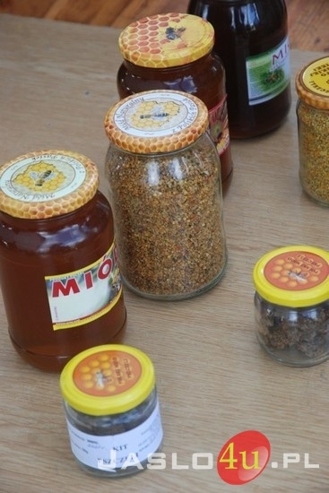 III Podkarpackie Miodobranie